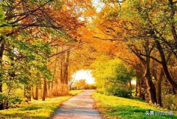 世界有名的钢琴曲排行榜前十名，世界最有名的钢琴曲有哪些