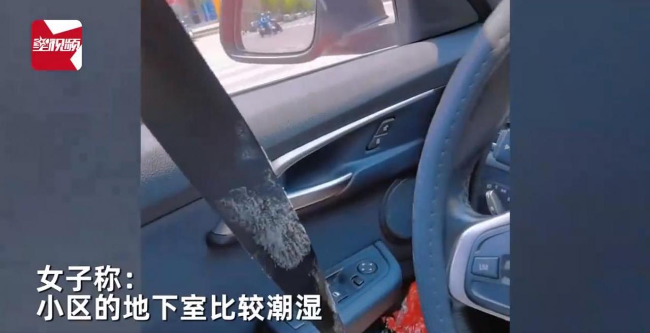 女子车子停了半月没开，都长了毛 车上干了啥？