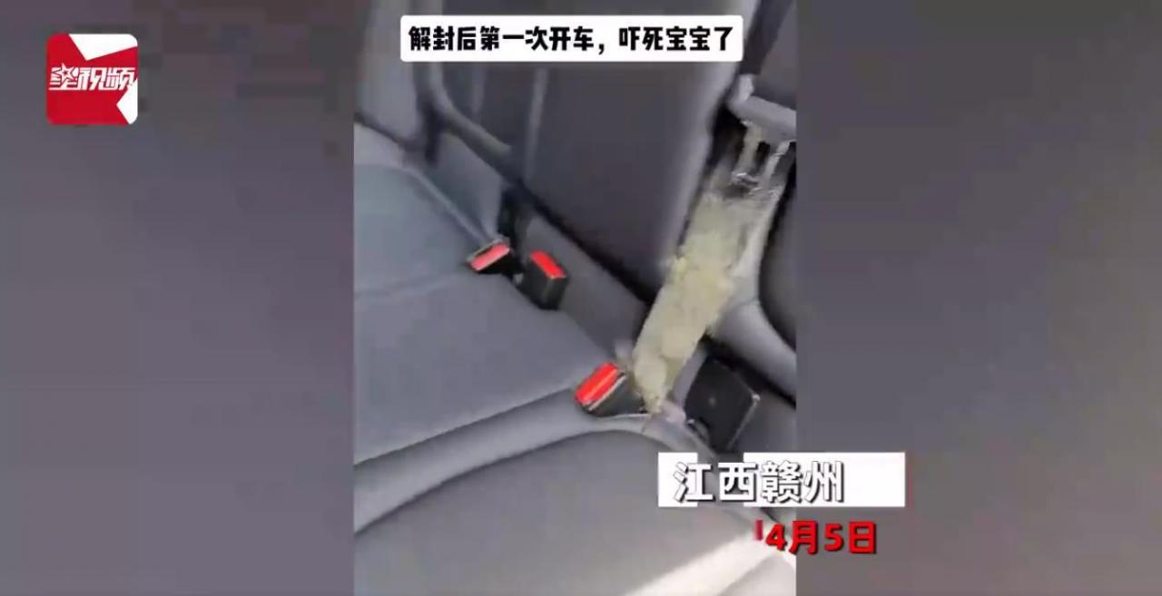 女子车子停了半月没开，都长了毛 车上干了啥？