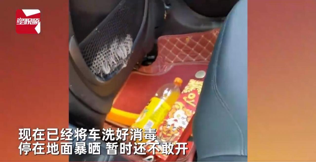 女子车子停了半月没开，都长了毛 车上干了啥？