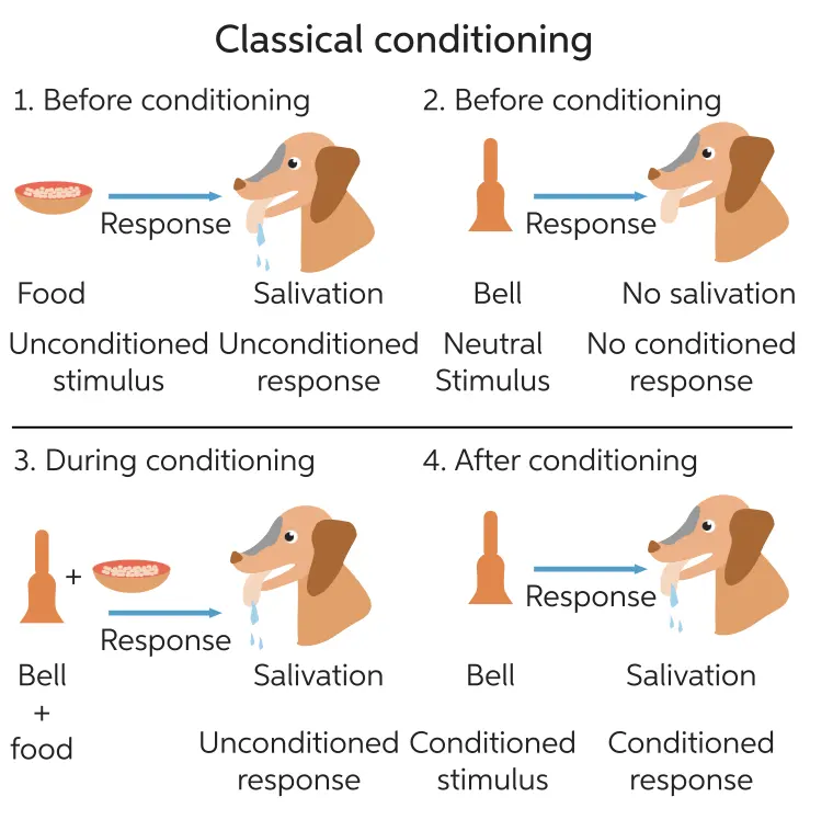 激励机制如何驱动用户？