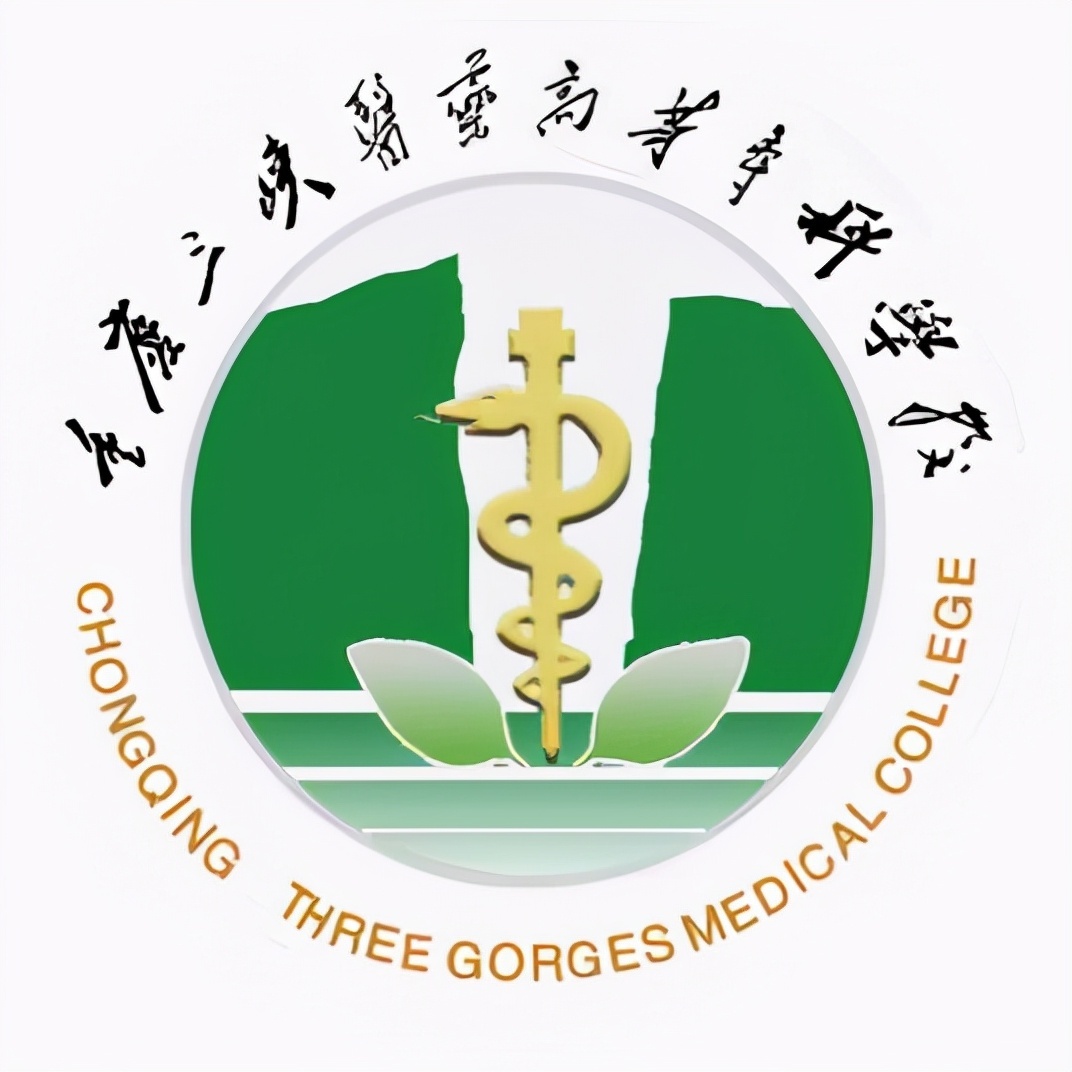 2022年重庆市高职院校排名