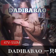 Twitter被教育博主《DADIBABAO一只喔》露出资源
