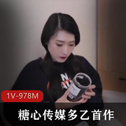 糖心出品超人气极品颜值小江疏影 多乙 正式出道首作 来… [1V-978M]