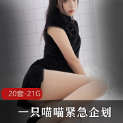 高颜值喵喵梓紧急企划视频合集，20套资源，大小21.1G