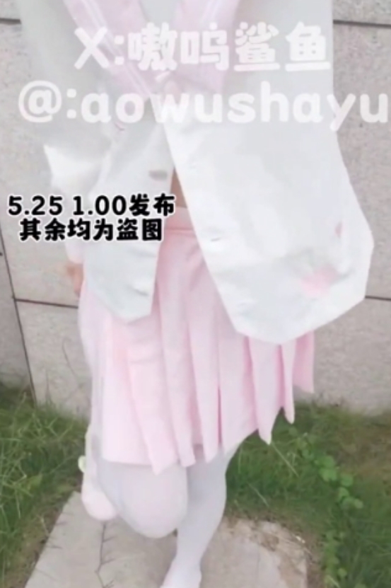 小狗嗷呜鲨鱼，收藏161次，51v710m大小合适，百度和ED2K上都有下载链接