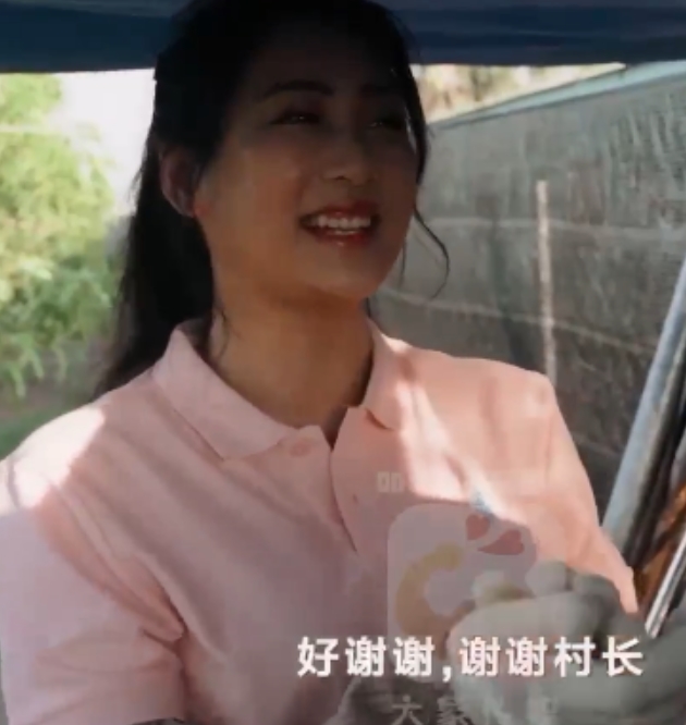 新款传媒收藏视频合集，27部百度ED2K资源，珍藏必备！