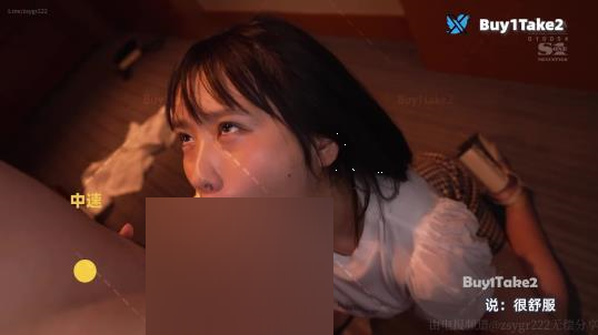 百度盘buy1take2释放管理第二季16集6V+4.5G,自行打包