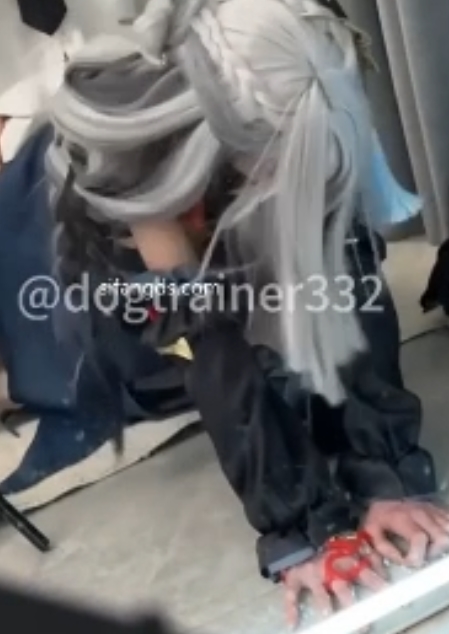 抖音藤原yuki作品互动视频+教学344M爆款福利